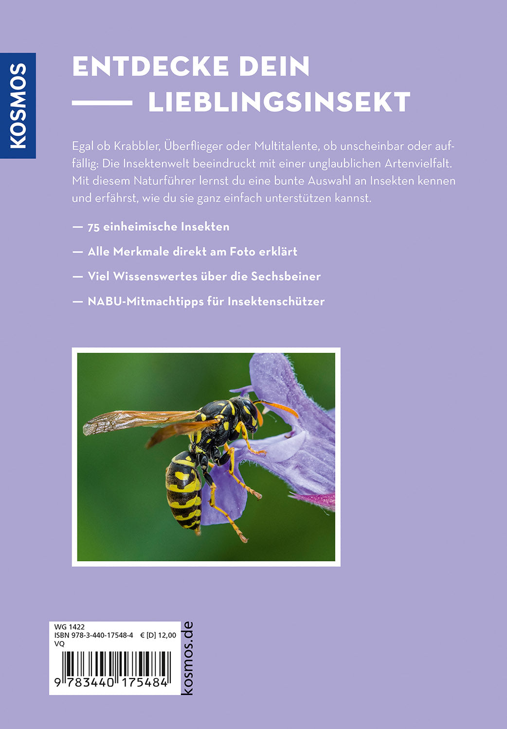 kosmos-wer-summt-denn-hier-insekten-bestimmungsbuch image 2