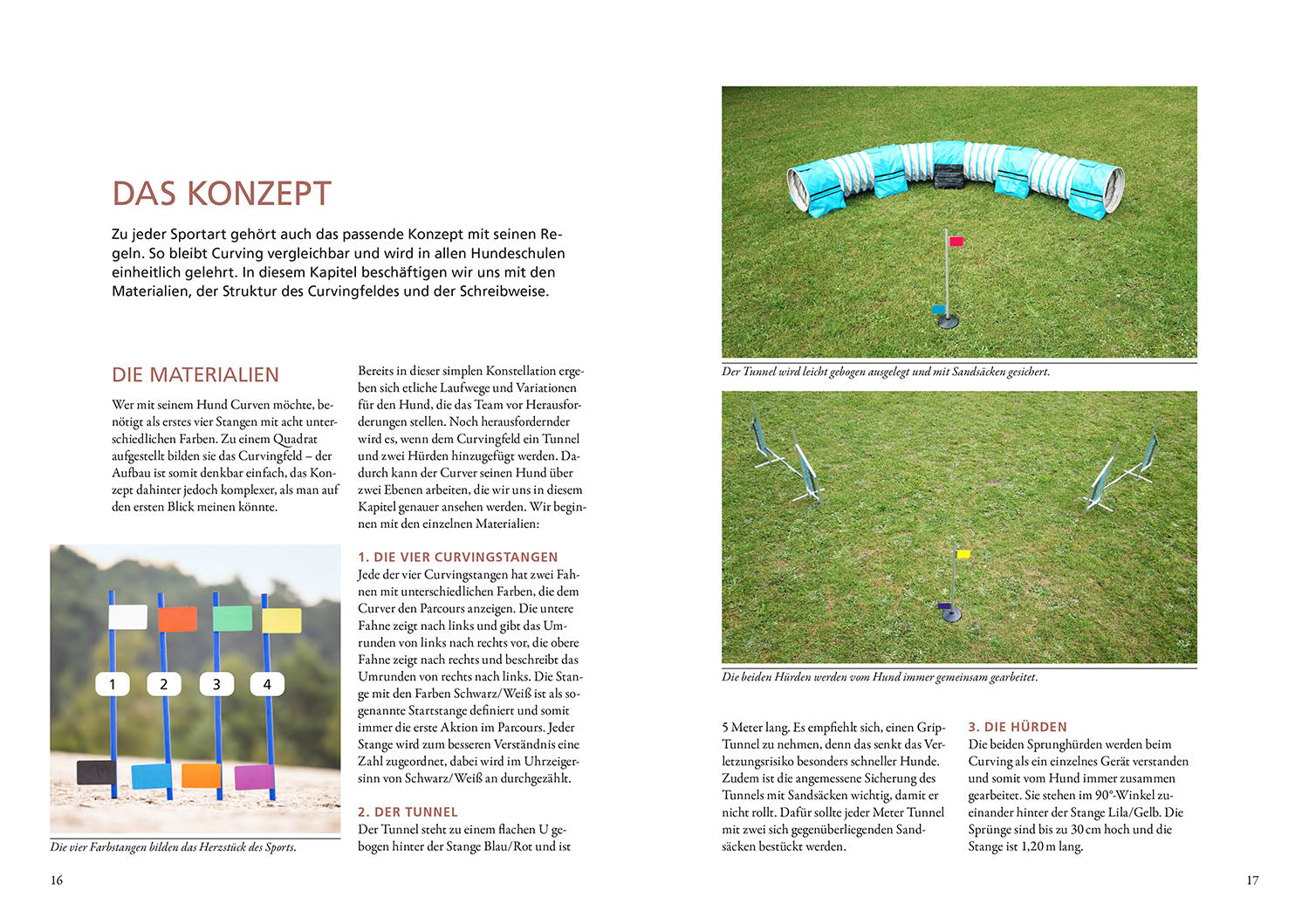 kosmos-curving-hundesport-ratgeber-hundetraining-parcours image 3