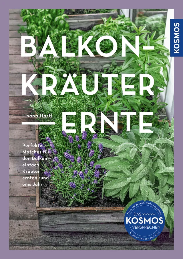 kosmos-balkon-kr-uter-ernte-kr-uterbuch-k-chenkr-uter-balkon image 1