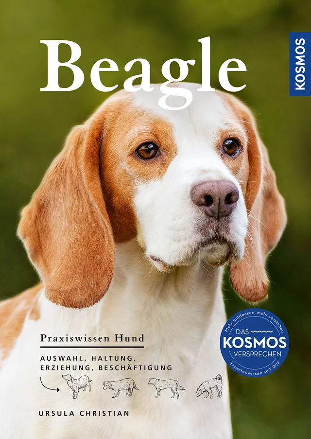 kosmos-praxiswissen-hund-beagle-ratgeber-ebook-haltung-erziehung image 1