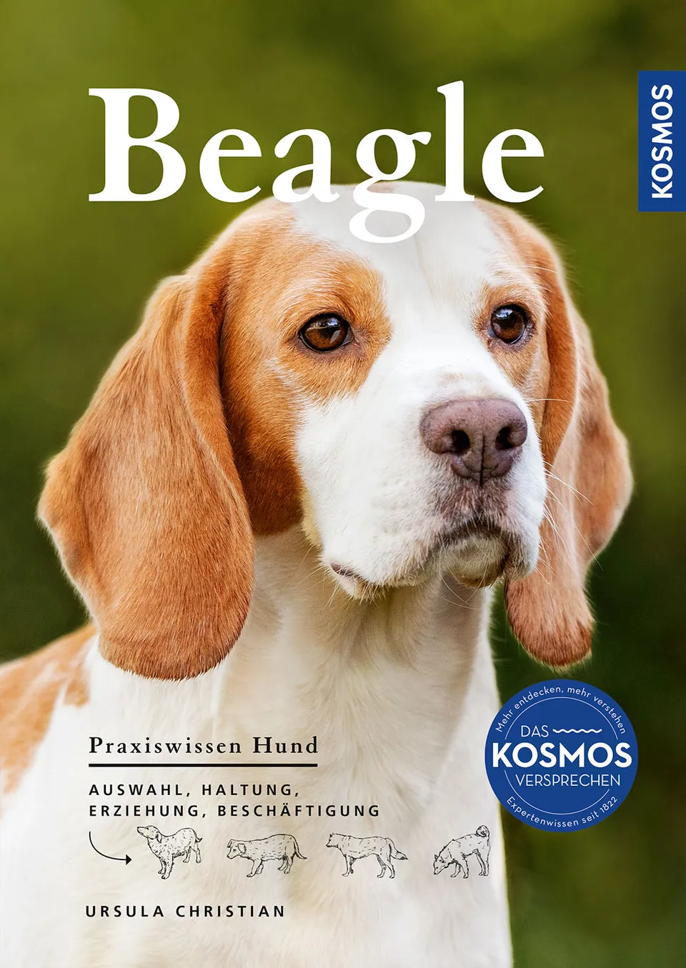 kosmos-beagle-praxiswissen-hund-ratgeber-ebook image 1