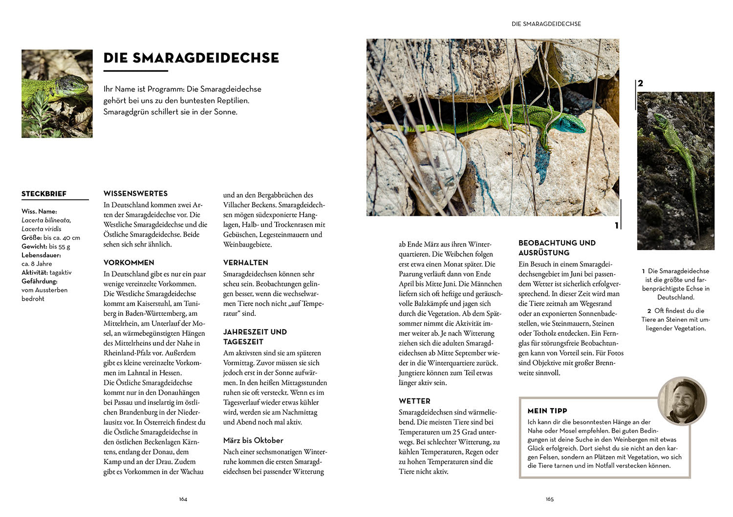 kosmos-tiere-beobachten-mit-dem-wildtierguide-buch image 5