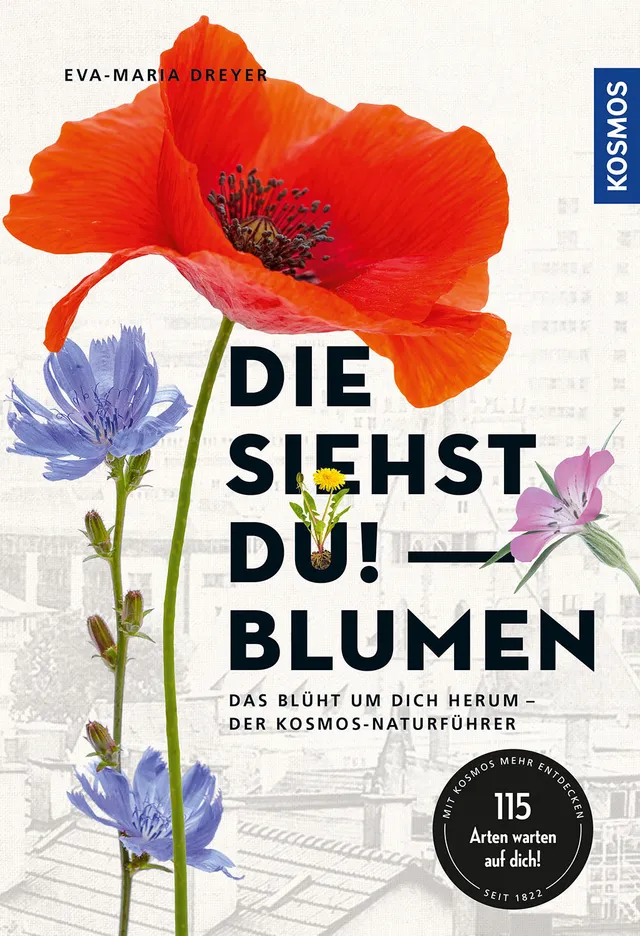 die-siehst-du-blumen-naturf-hrer-stadtblumen-bestimmungsbuch image 1