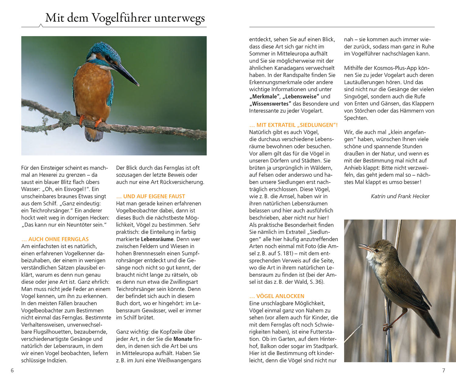 kosmos-vogelf-hrer-f-r-unterwegs-bestimmungsbuch-einsteiger-2 image 3