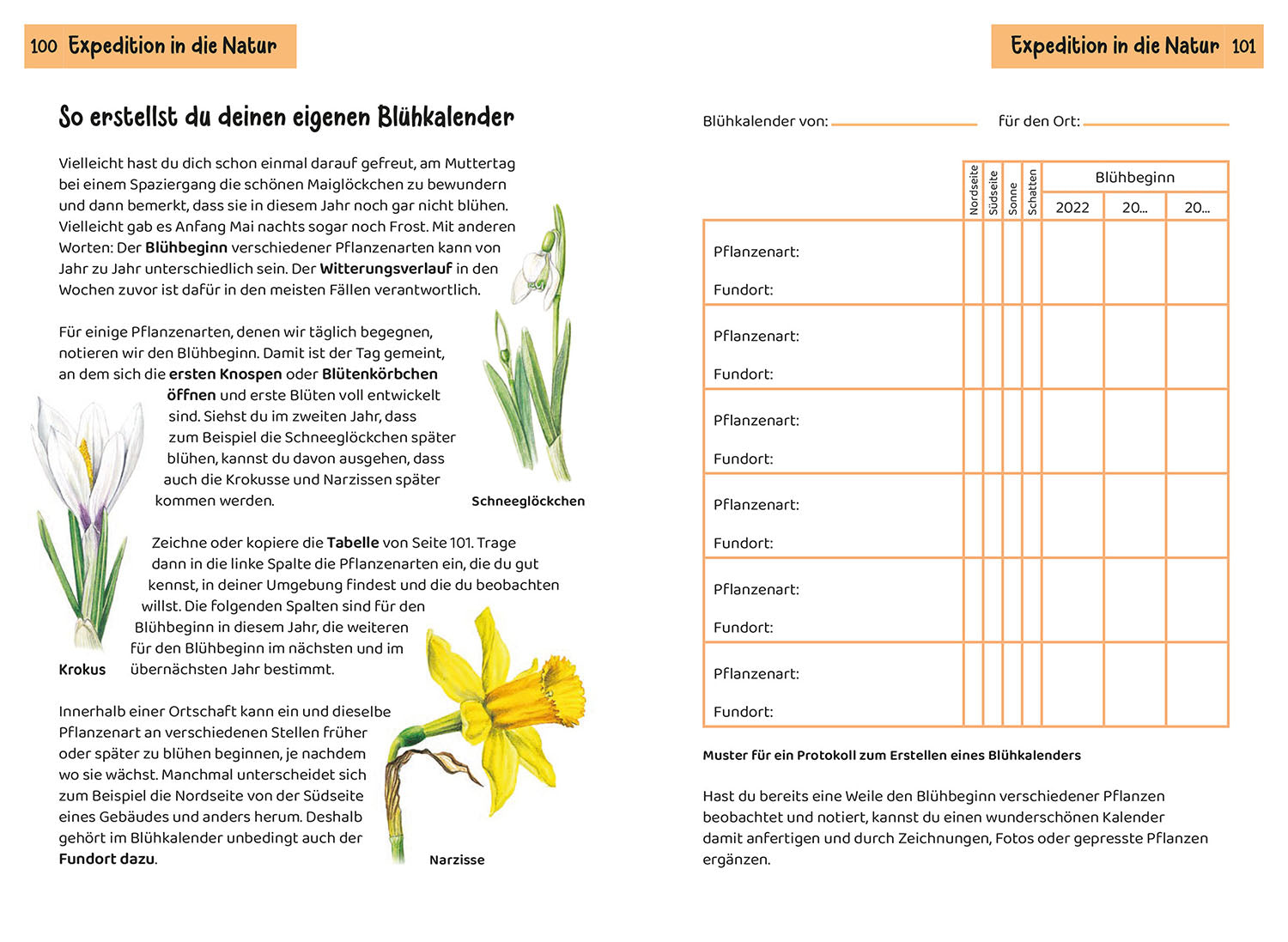 kosmos-was-bl-ht-denn-da-kindernaturf-hrer-blumen image 8