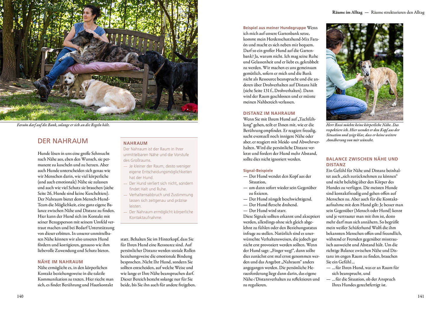 kosmos-raumdenken-in-der-hundeerziehung-ratgeber-hund image 5