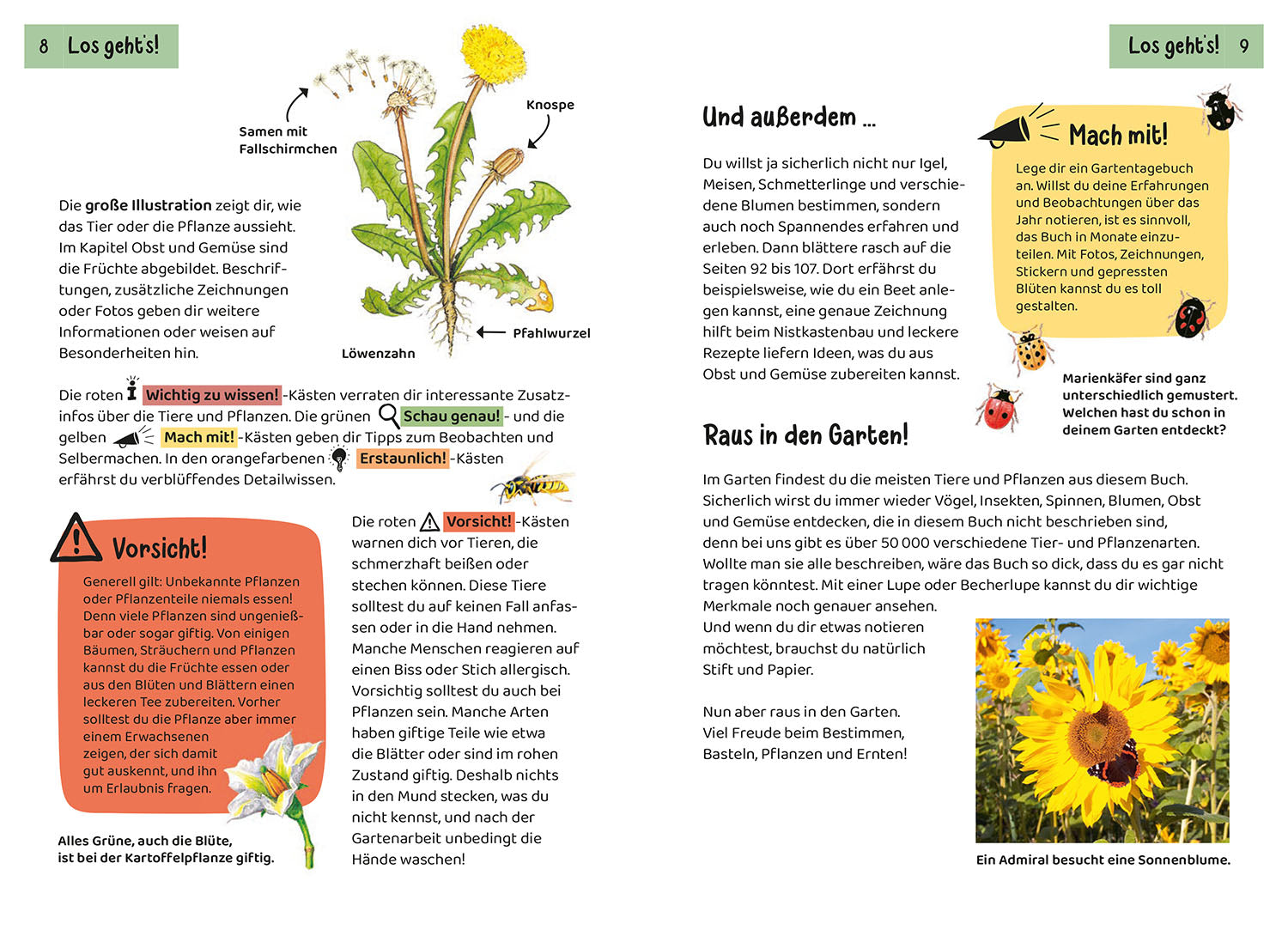 kosmos-was-lebt-im-garten-kindernaturf-hrer-tiere-pflanzen-garten image 3