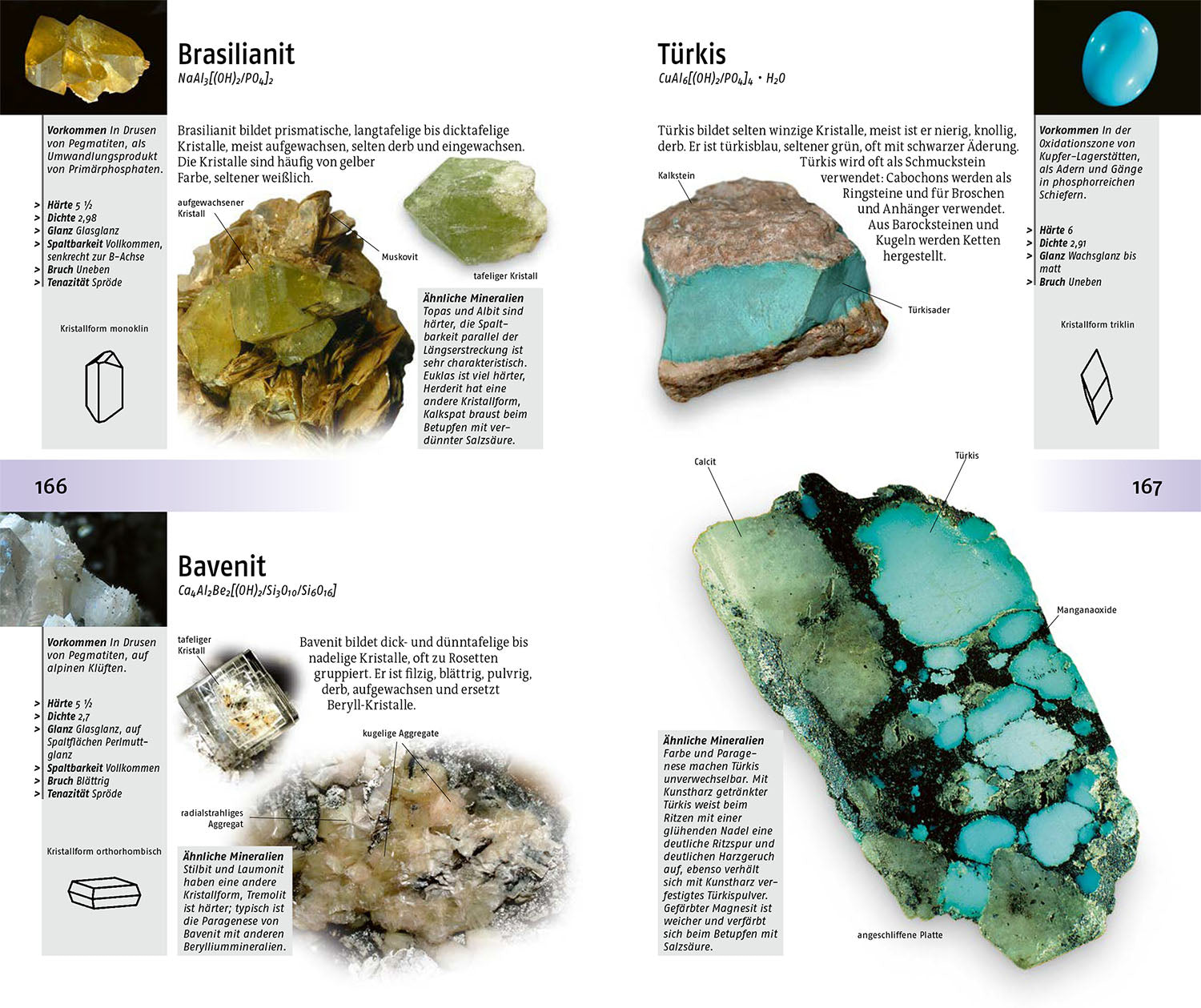 kosmos-welcher-stein-ist-das-bestimmungsbuch-mineralien image 5
