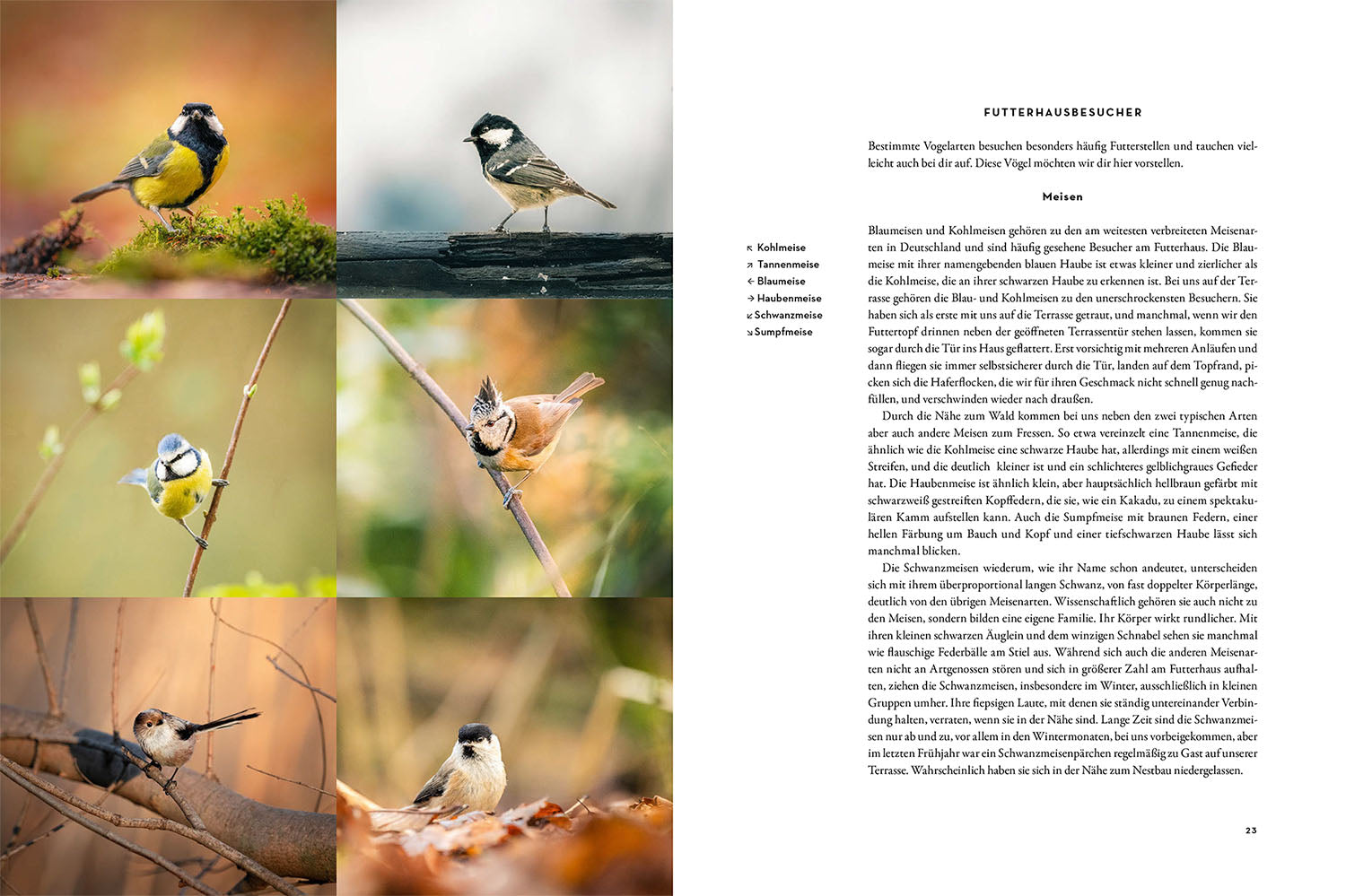 kosmos-moments-in-nature-buch-naturbildband-bestseller image 3