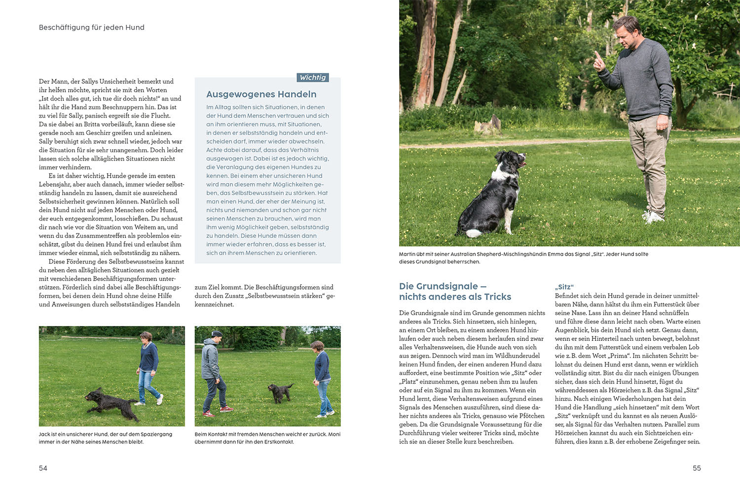 martin-r-tter-hunde-besch-ftigen-buch-hundespiele image 4