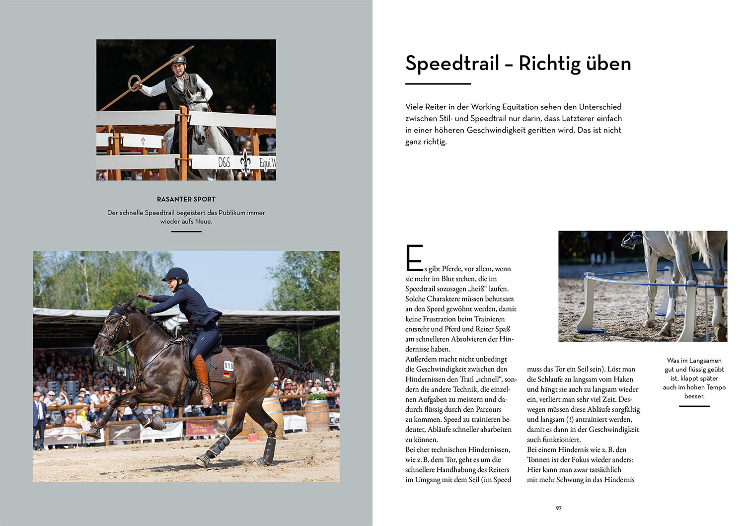 kosmos-working-equitation-buch-mirjam-wittman-ratgeber image 6