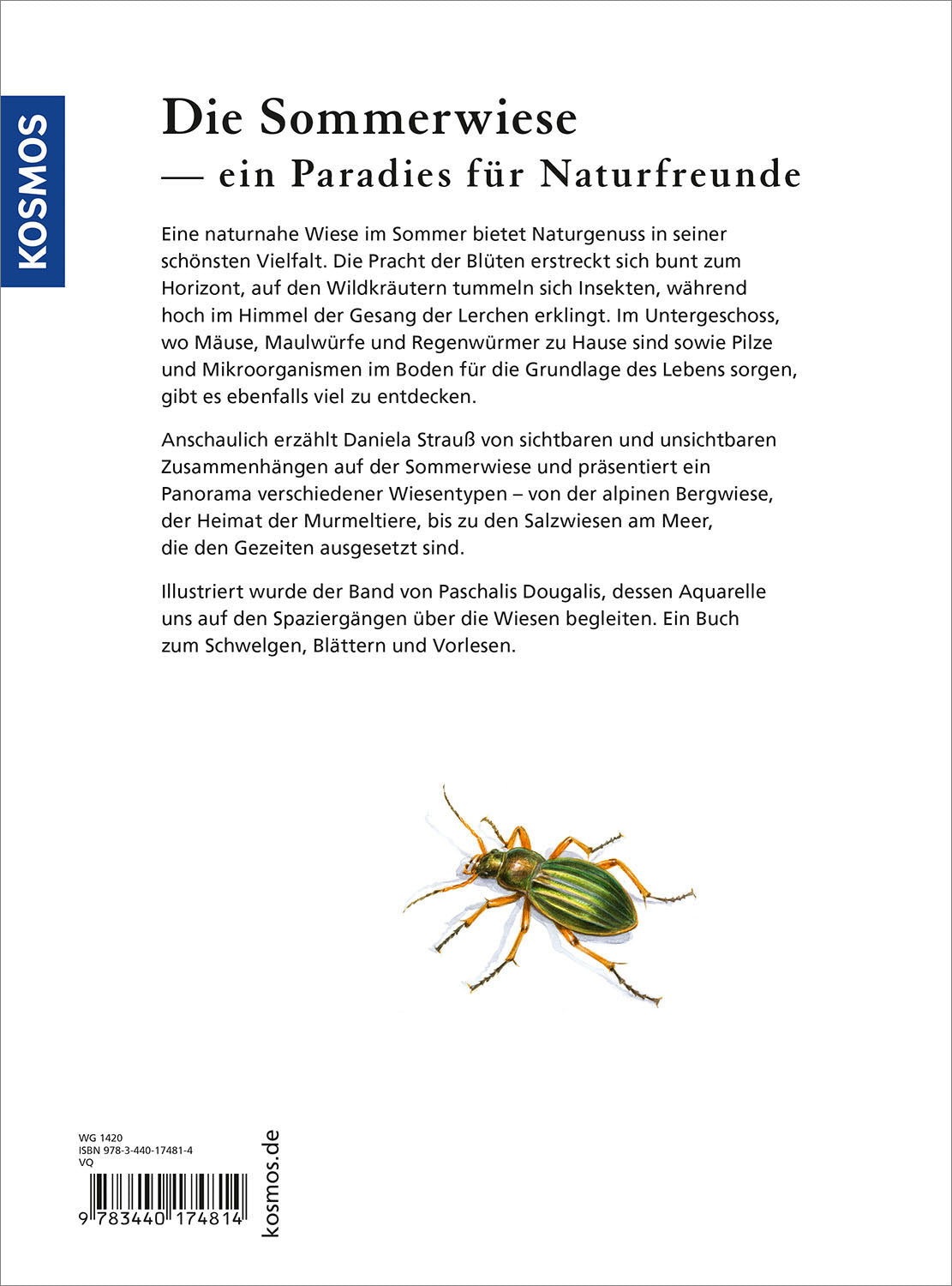 kosmos-sommerwiese-daniela-strau-naturbuch-wiese-tiere-pflanzen image 2