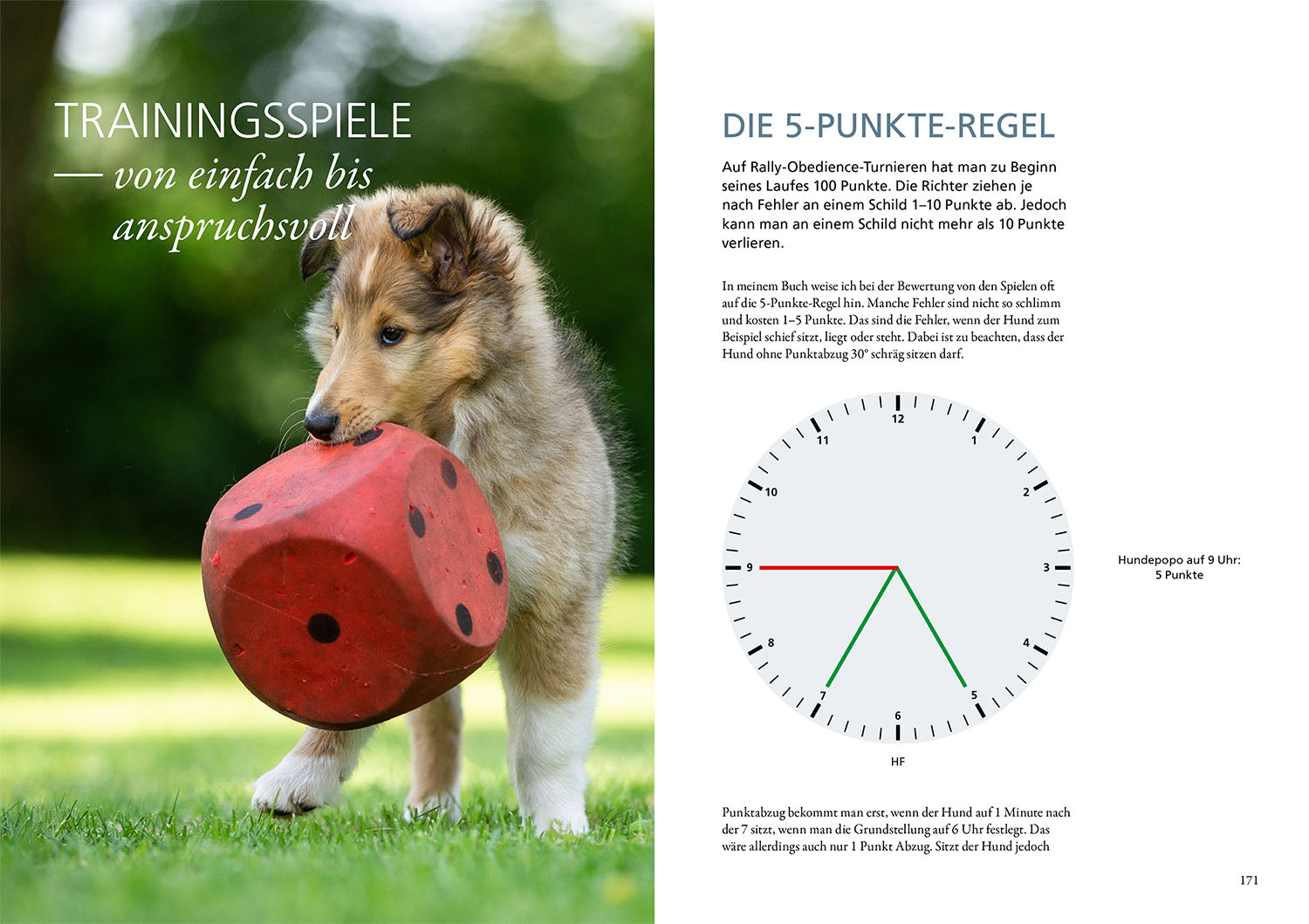 kosmos-rally-obedience-buch-hundesport-training-parcours image 5