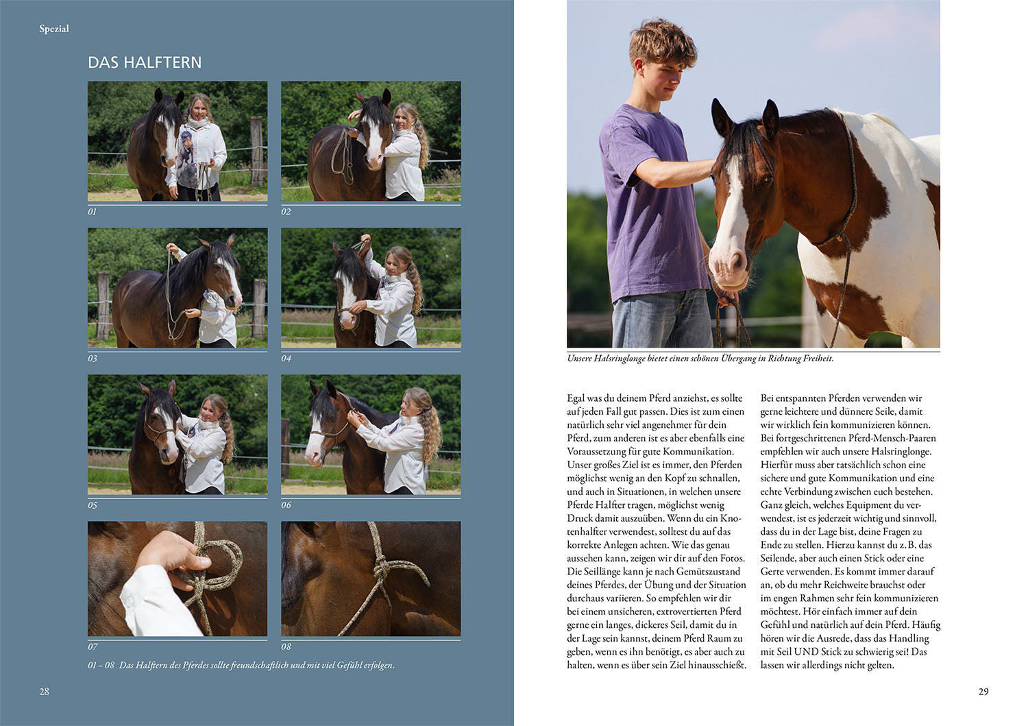 kosmos-horsemanship-lernen-jenny-peer-ratgeber-pferd image 4