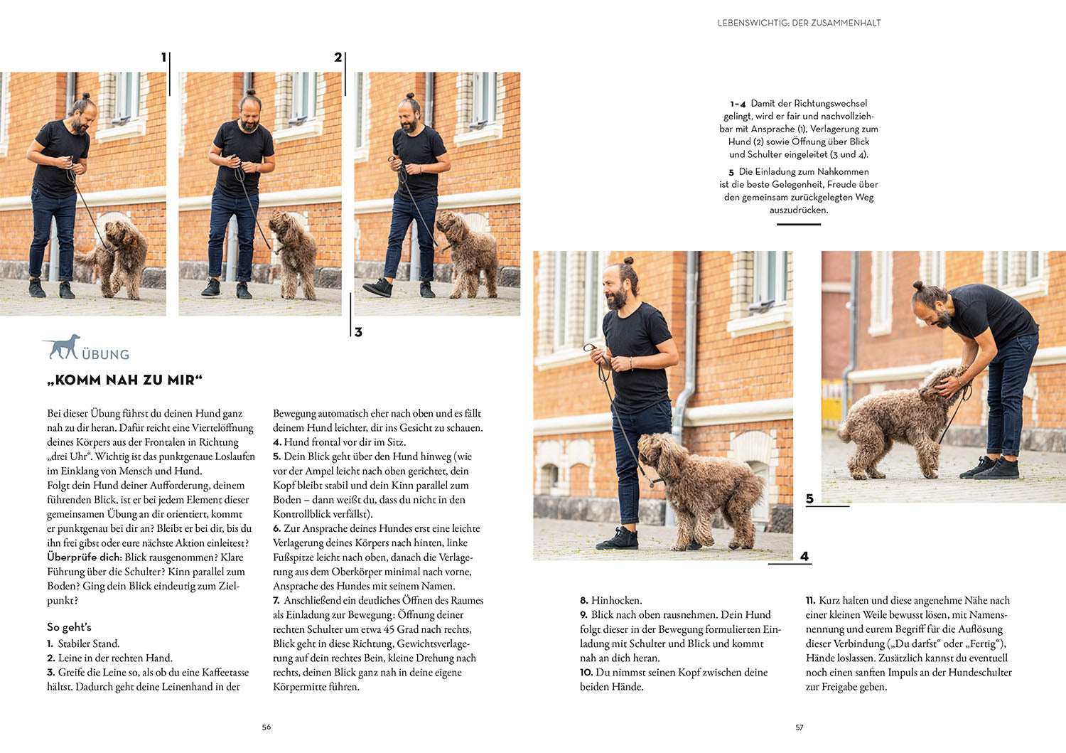 leinenf-hrigkeit-sami-el-ayachi-buch-hundetraining image 4