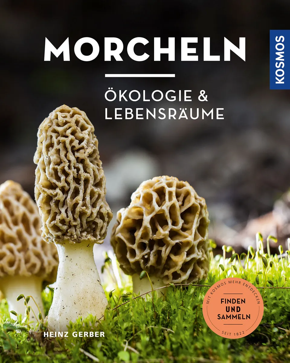kosmos-morcheln-ebook-speisepilze-finden-rezepte image 1