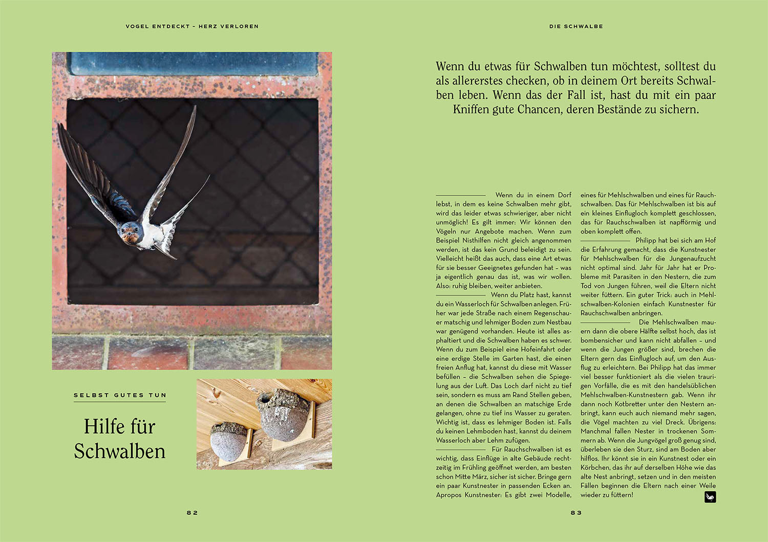 vogel-entdeckt-herz-verloren-vogelbuch-urban-birding image 5