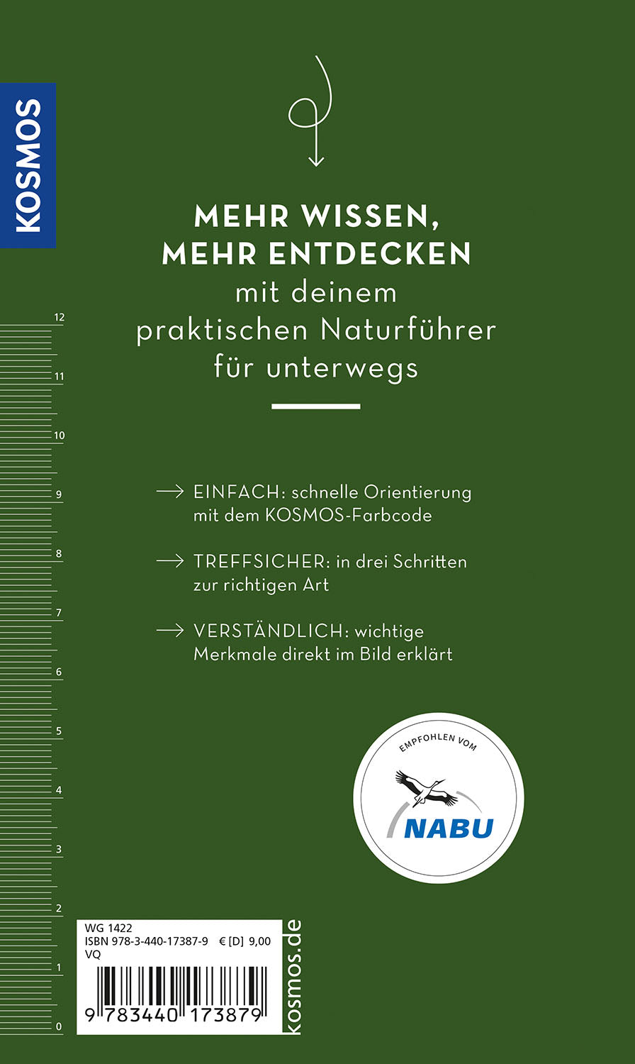 kosmos-basic-pilze-naturf-hrer-100-heimische-arten image 2