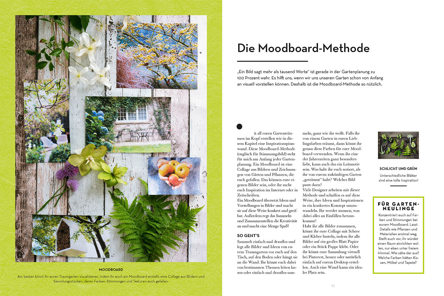 kosmos-6-schritte-zum-traumgarten-buch-garten-planen-gestalten image 3