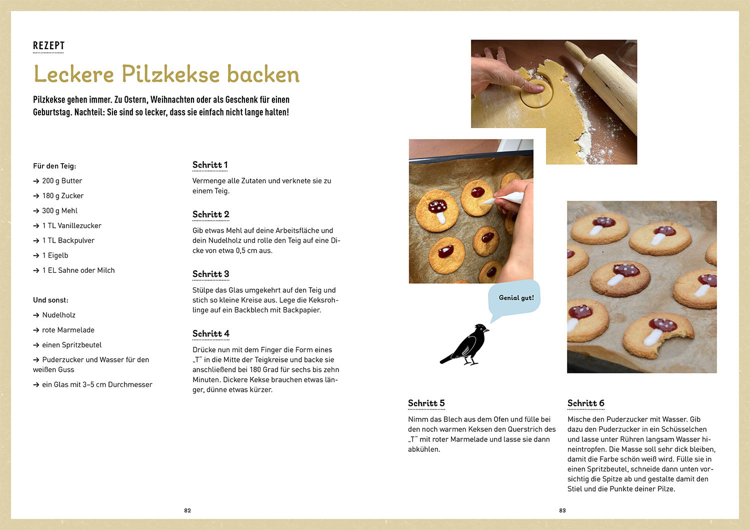 kosmos-pilzbuch-f-r-kids-familienbuch-pilze-wald image 6