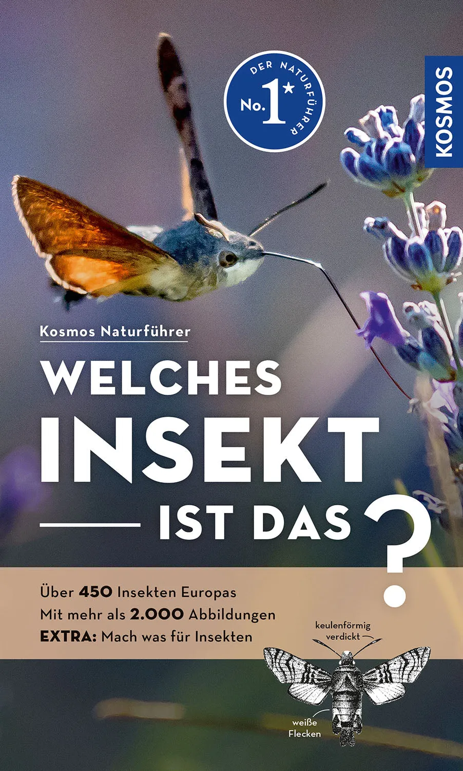 welches-insekt-ist-das-kosmos-insektenf-hrer-mit-app image 1
