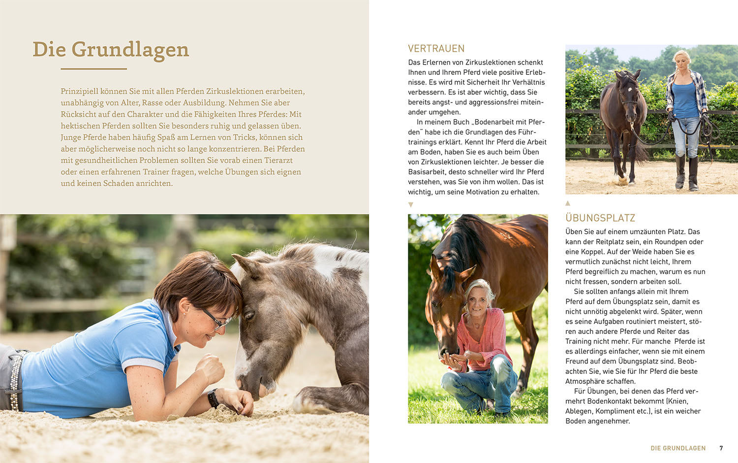 kosmos-zirkustricks-mit-pferden-buch-sch-pe image 3