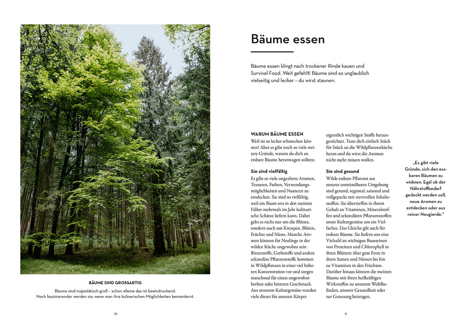 kosmos-tasty-trees-buch-essbare-b-ume-victoria-lorenz image 3