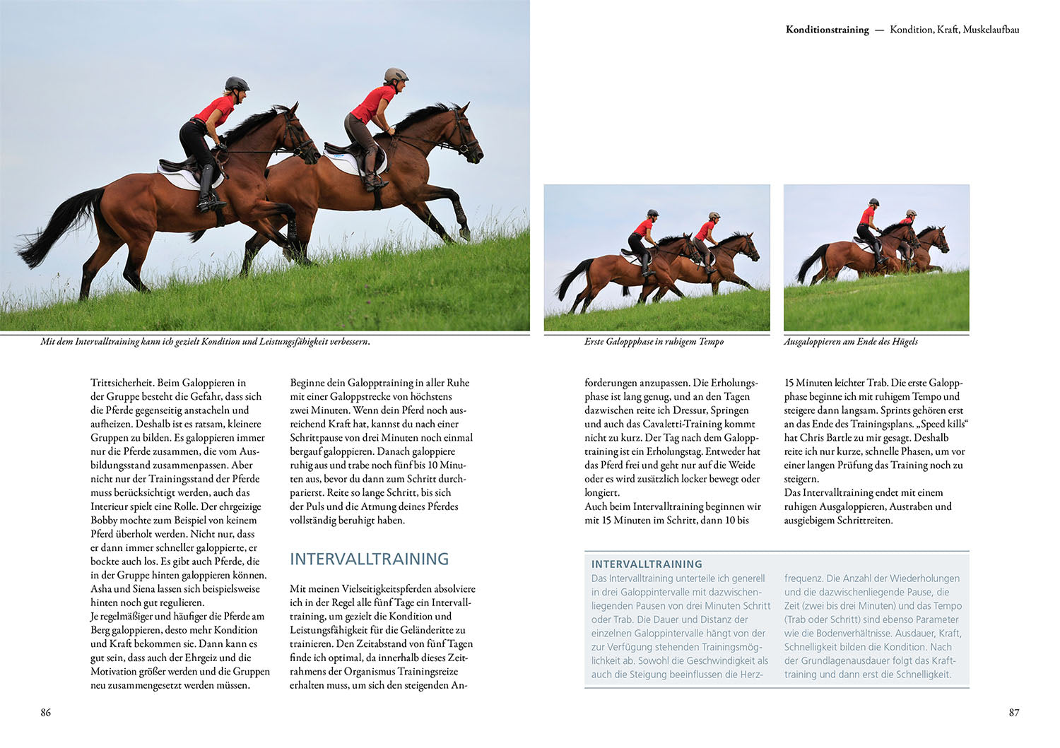 kosmos-reiten-im-gel-nde-ingrid-klimke-reitbuch image 6