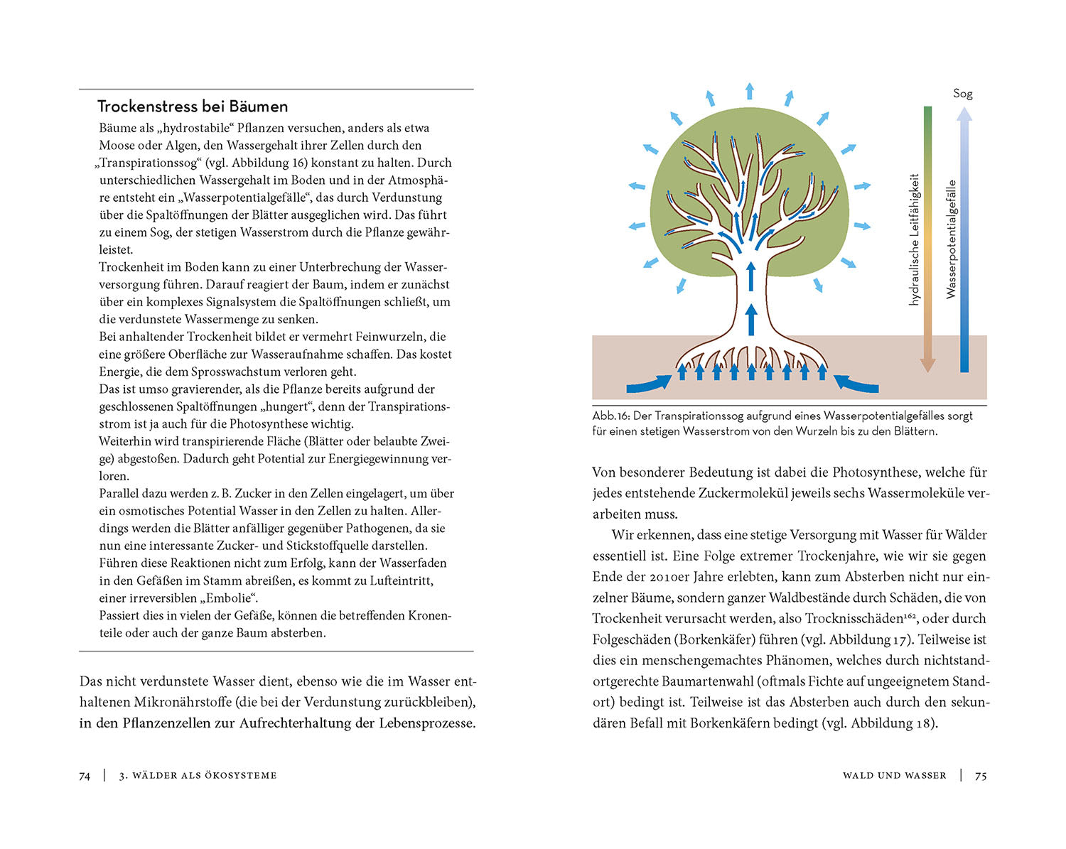 kosmos-die-sache-mit-dem-wald-buch-waldschutz-nachhaltigkeit image 4