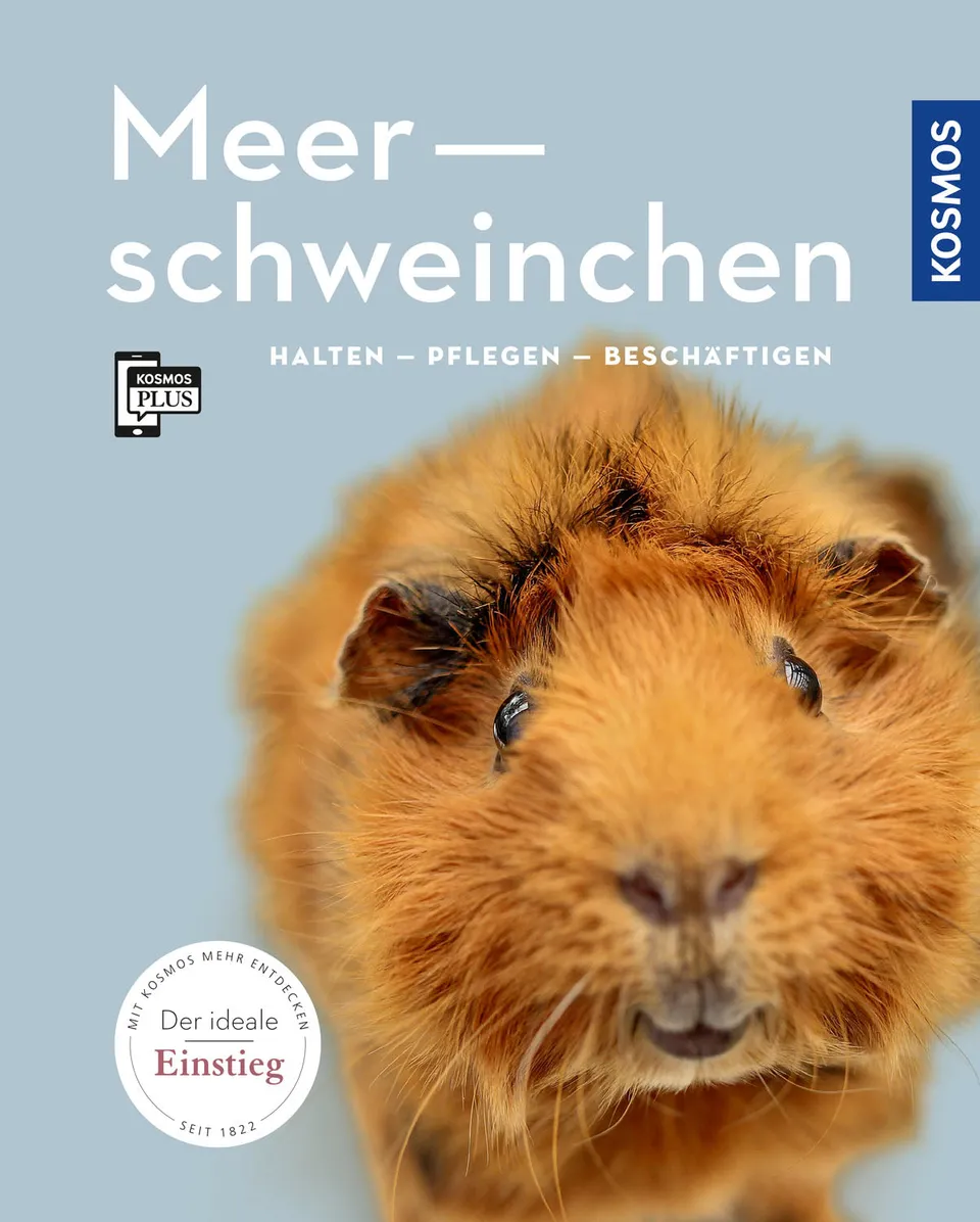 kosmos-meerschweinchen-ratgeber-tierbuch-haltung-f-tterung image 1