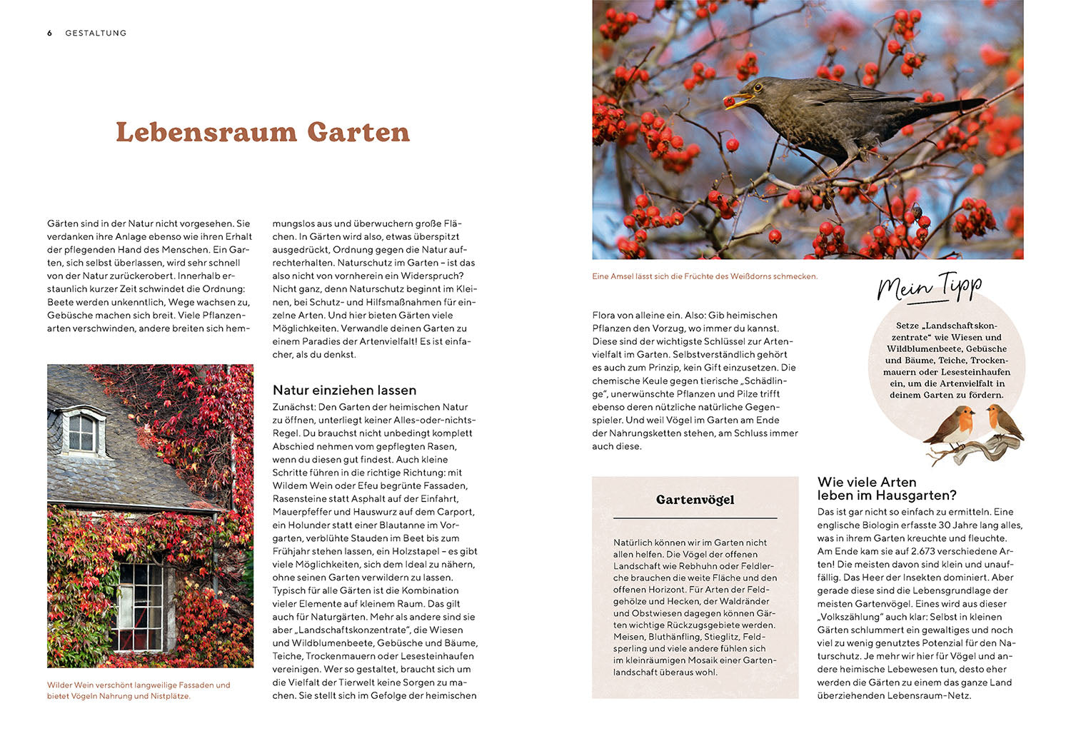 kosmos-vogelparadies-garten-ratgeber-buch-gartenv-gel image 3