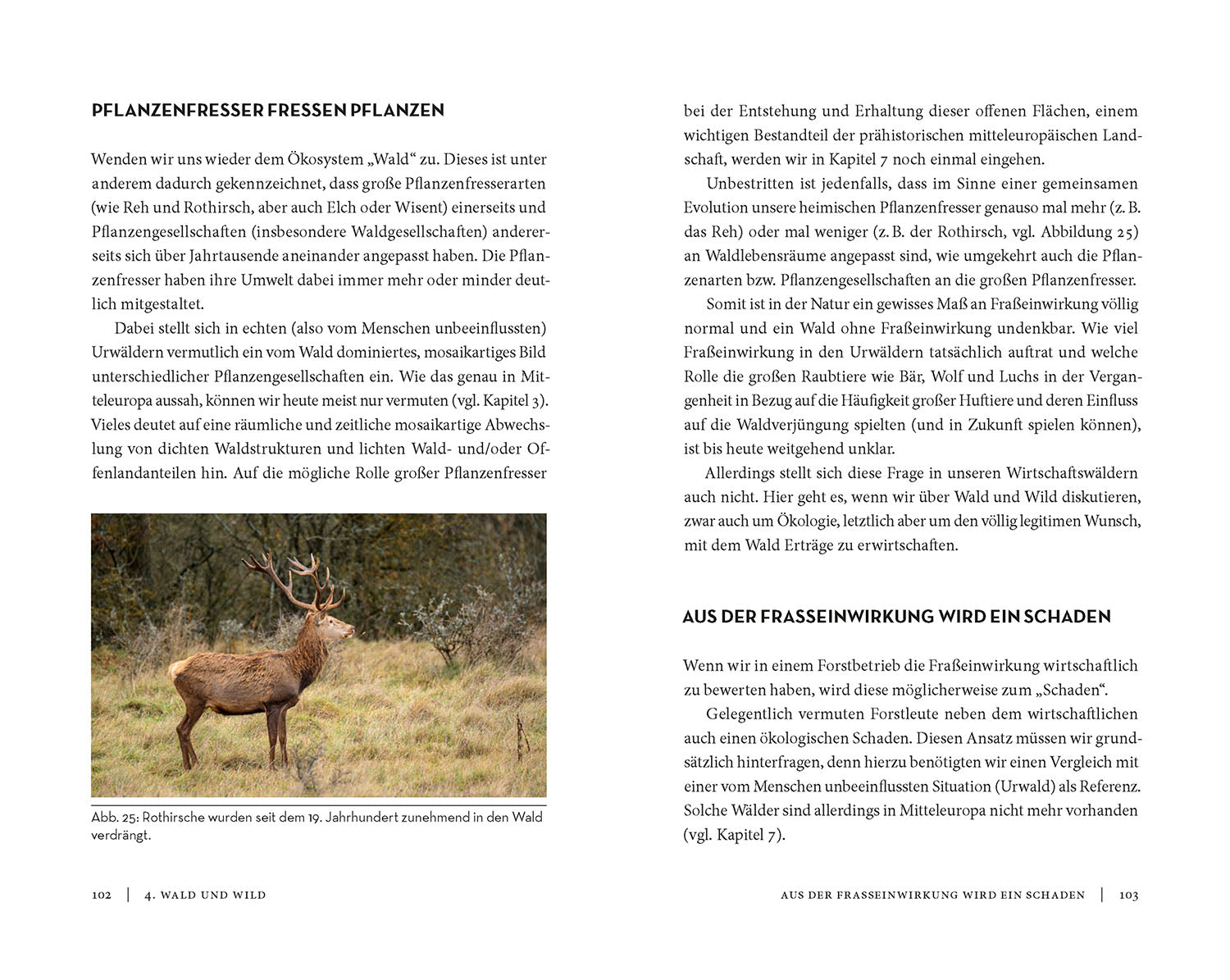 kosmos-die-sache-mit-dem-wald-buch-waldschutz-nachhaltigkeit image 5