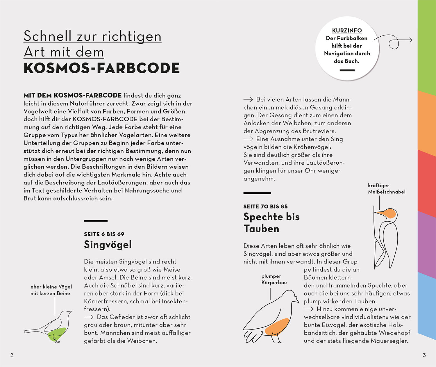 kosmos-basic-gartenv-gel-naturf-hrer-100-arten image 3