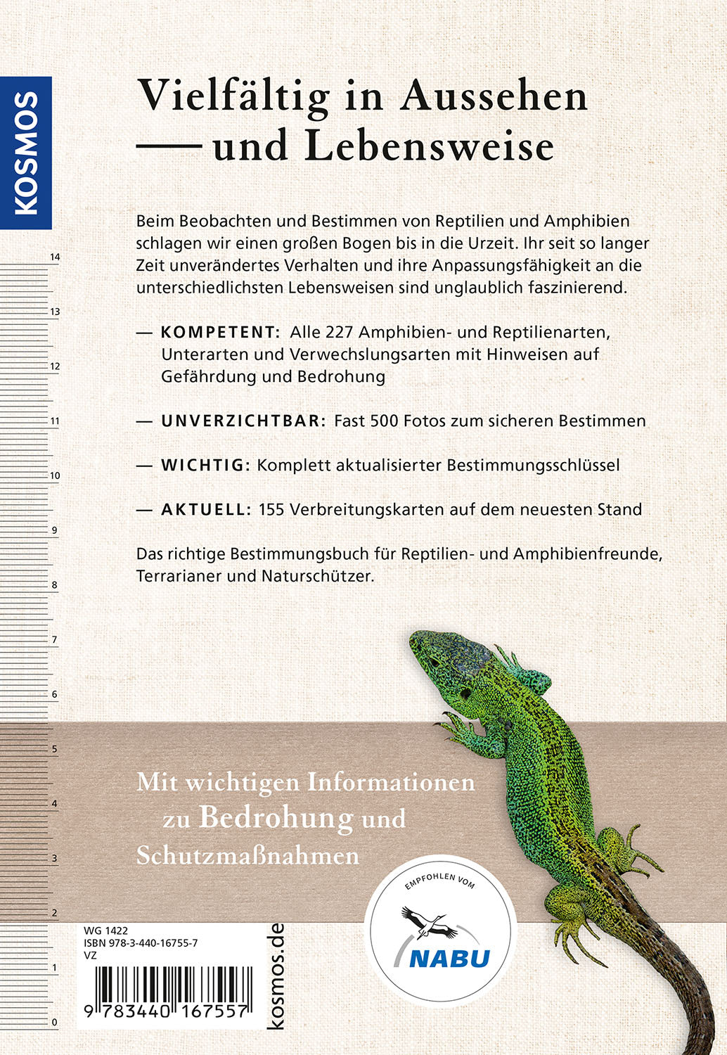 kosmos-reptilien-und-amphibien-europas-buch-naturf-hrer-schlangen image 2