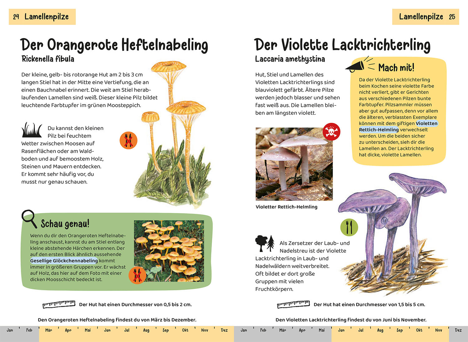 kosmos-welcher-pilz-ist-das-kindernaturf-hrer-pilze-bestimmen image 4
