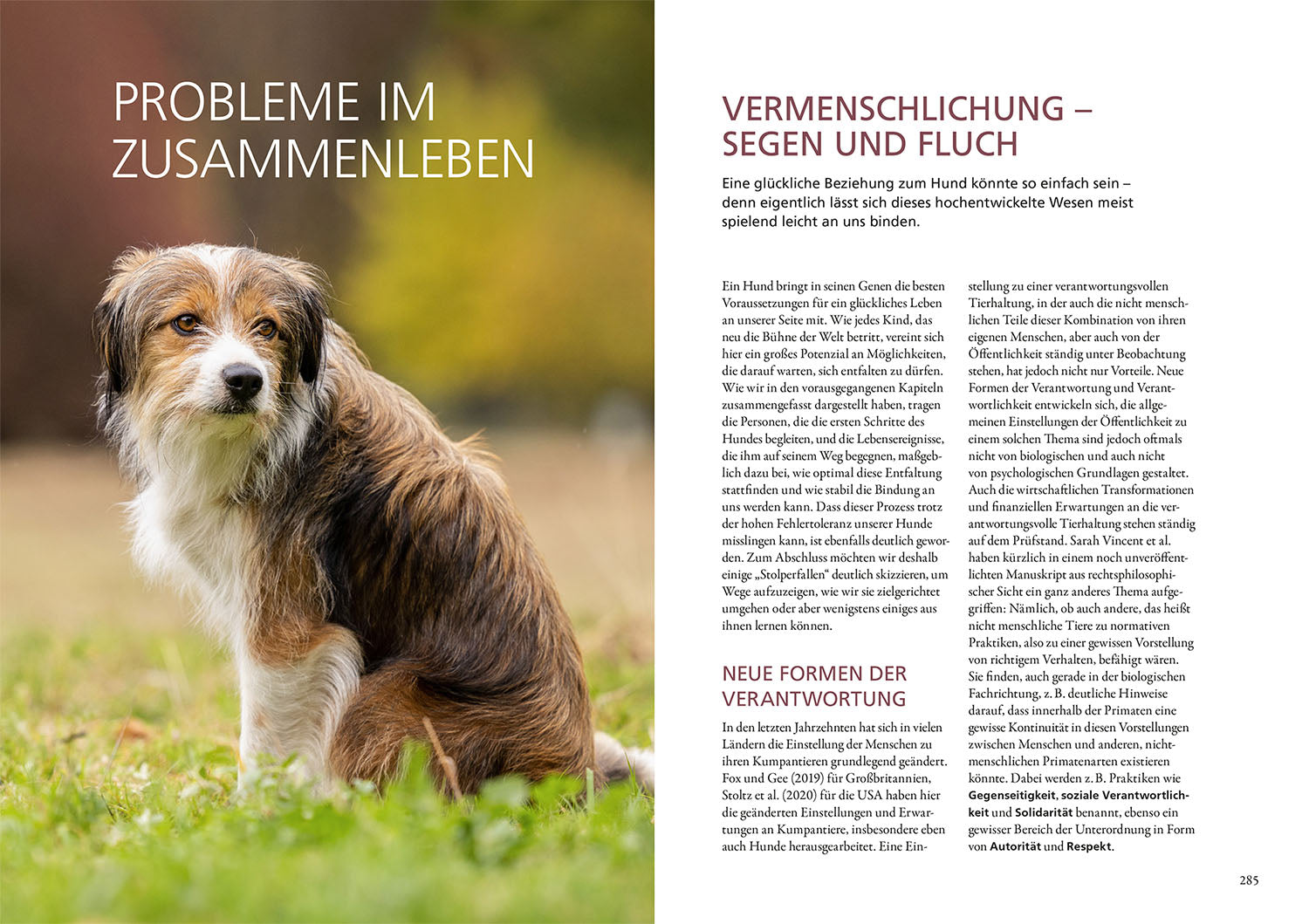 beziehung-erziehung-bindung-hundebuch-mensch-hund-ratgeber image 6