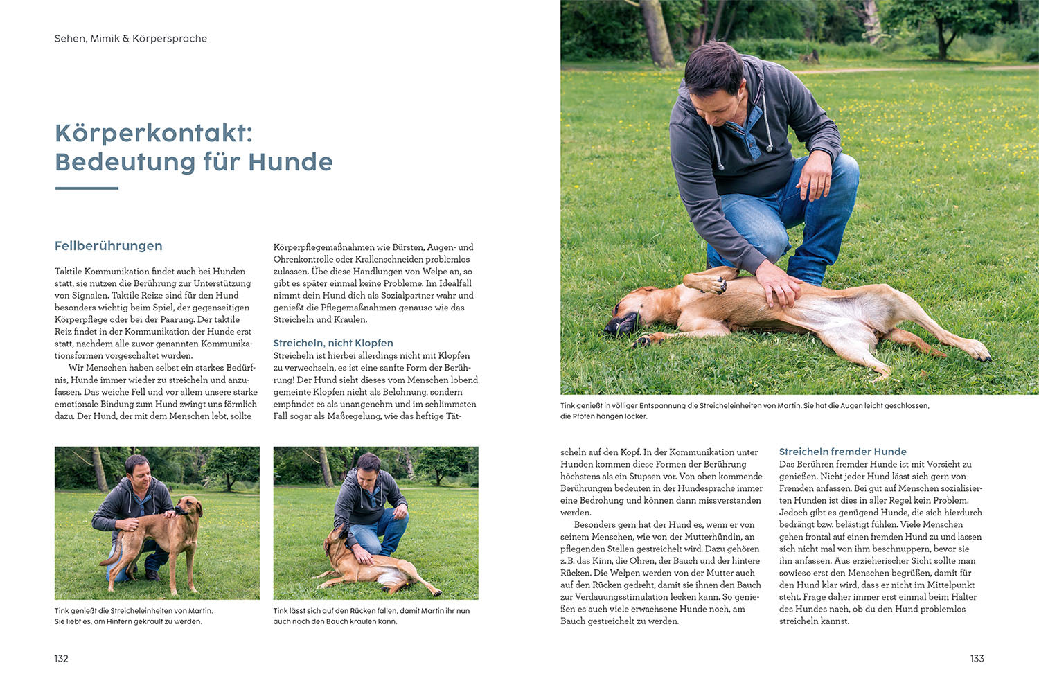 kosmos-sprachkurs-hund-mit-martin-r-tter-ratgeber-hundeverhalten image 6