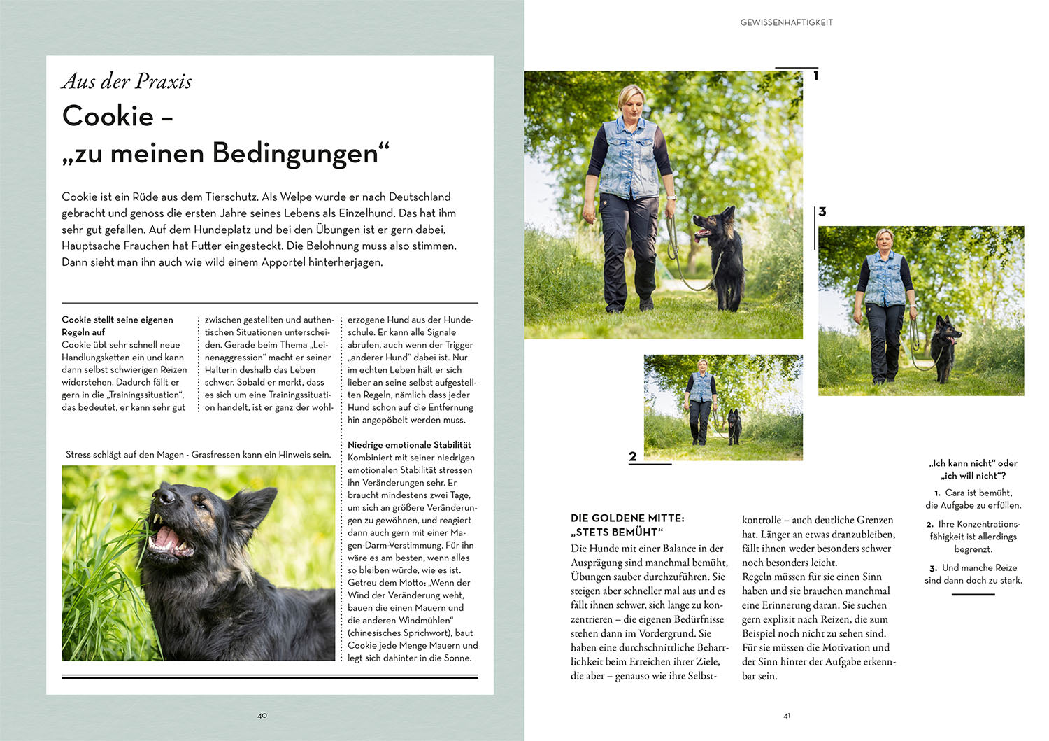 kosmos-pers-nlichkeitsanalyse-f-r-hunde-ratgeber-big-five image 4