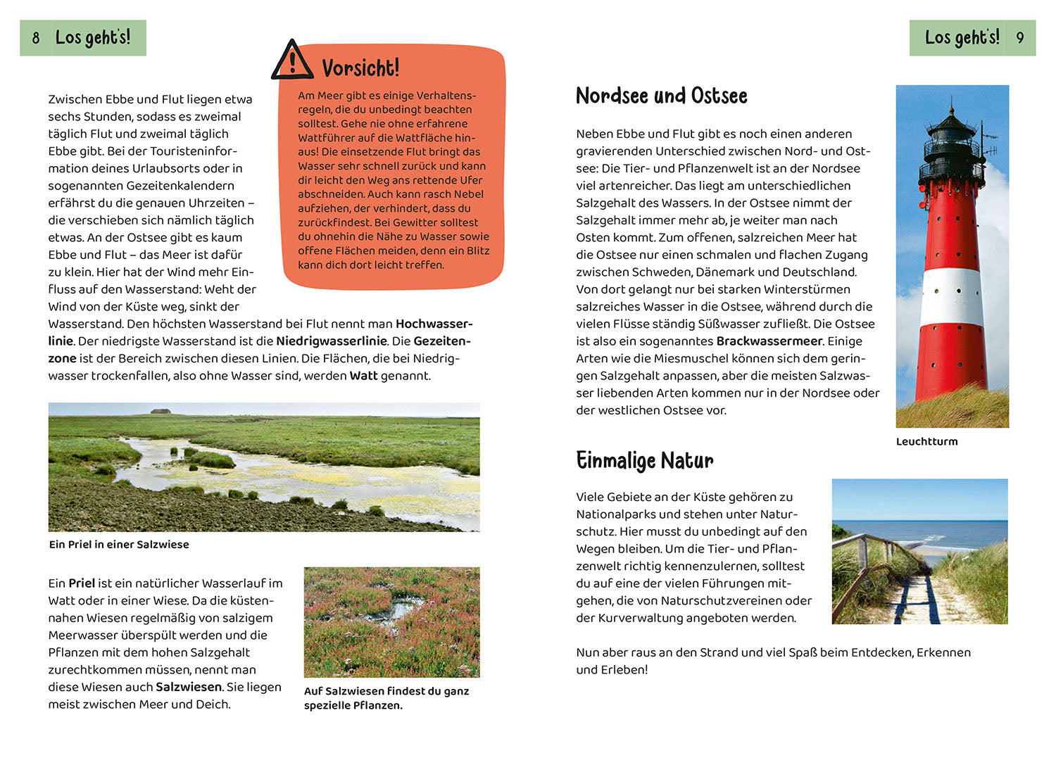 kosmos-kindernaturf-hrer-strand-und-k-ste-buch-85-arten image 3