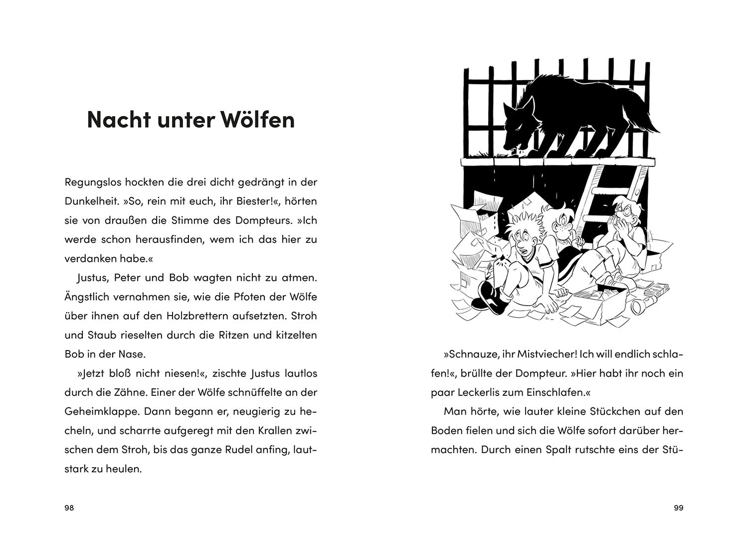 die-drei-kids-8-nacht-unter-w-lfen-kinderbuch-detektive image 6