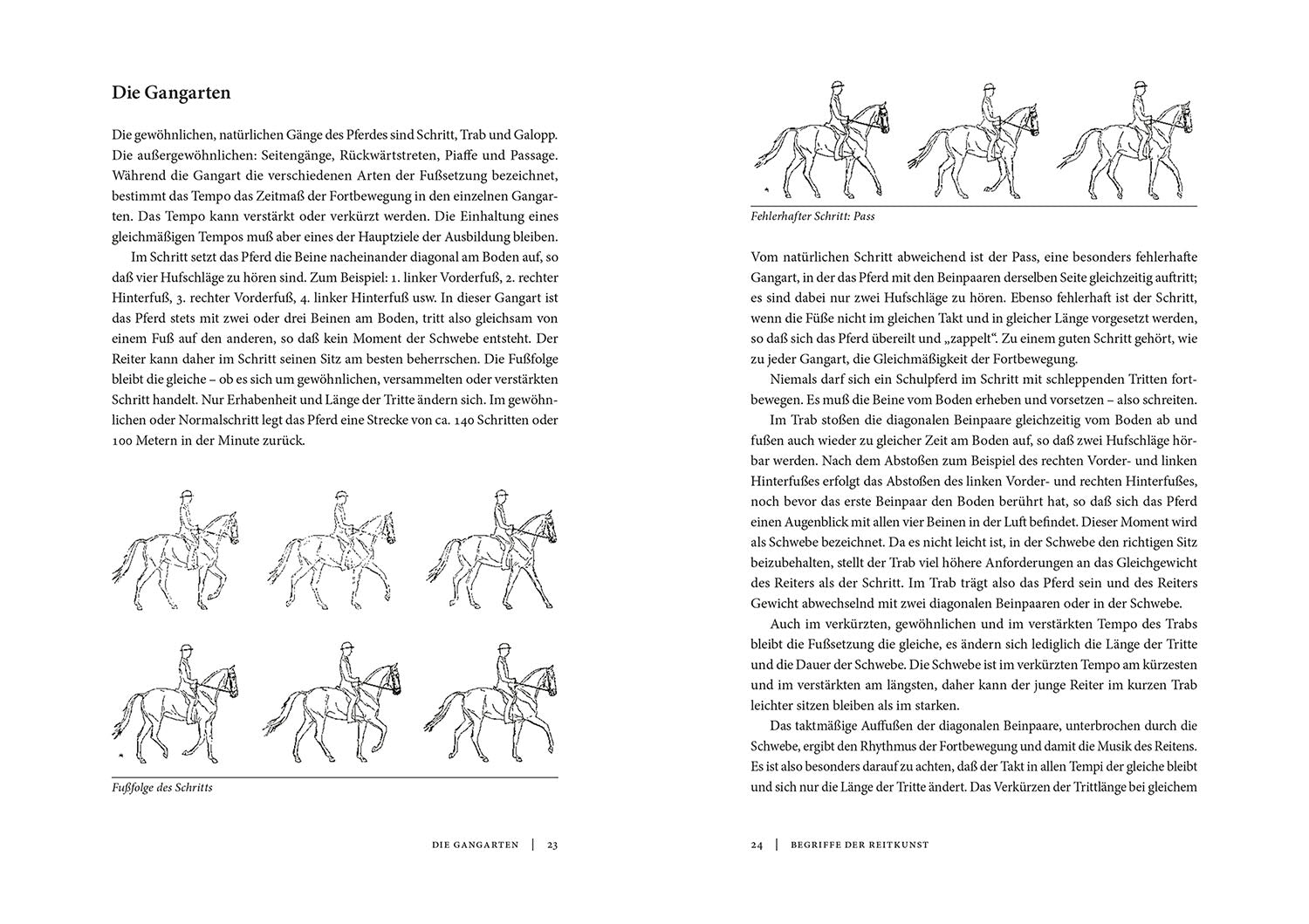 kosmos-die-klassische-reitkunst-reitbuch-dressur-podhajsky image 4