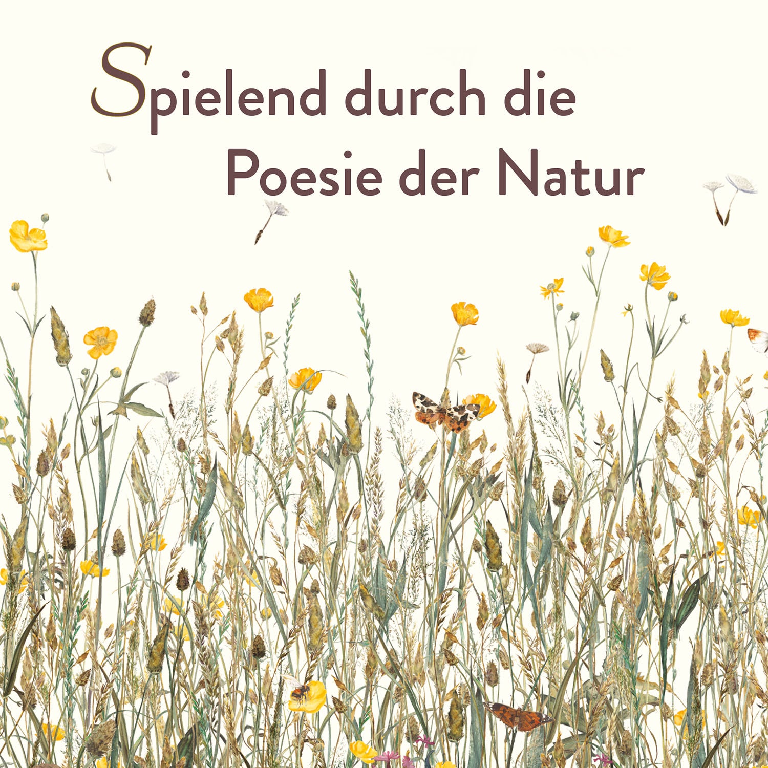 kosmos-die-verlorenen-w-rter-kartenspiel-familienspiel-80-karten image 5