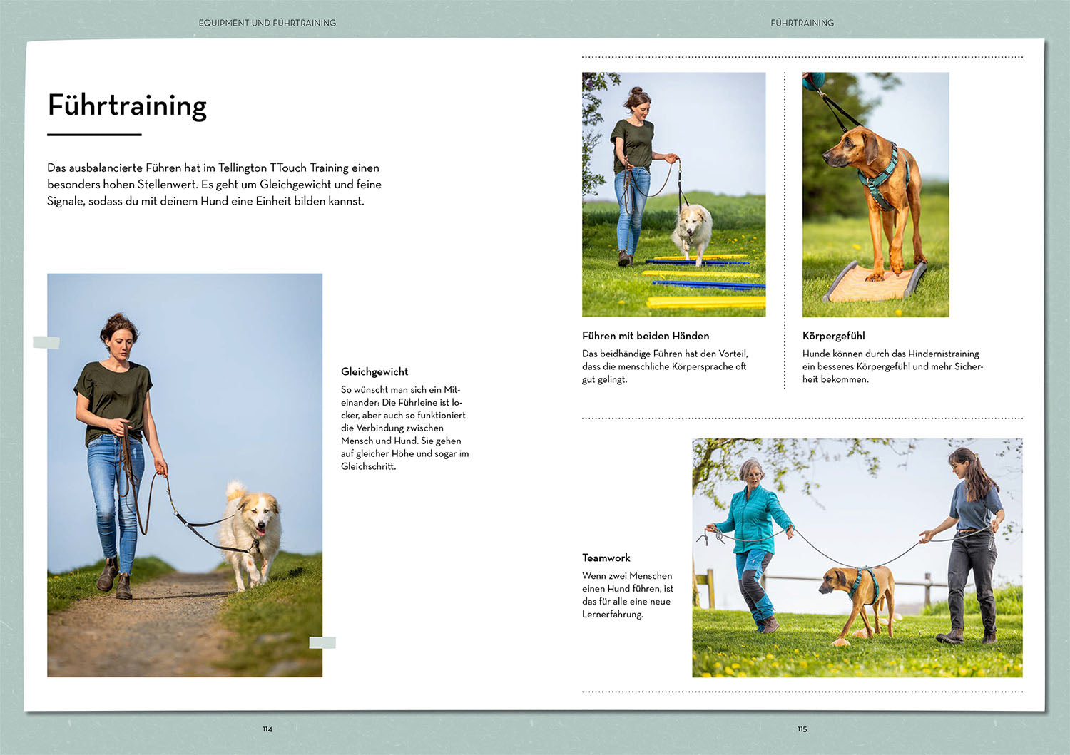 kosmos-tellington-training-f-r-hunde-ratgeber-buch-ttouches image 6