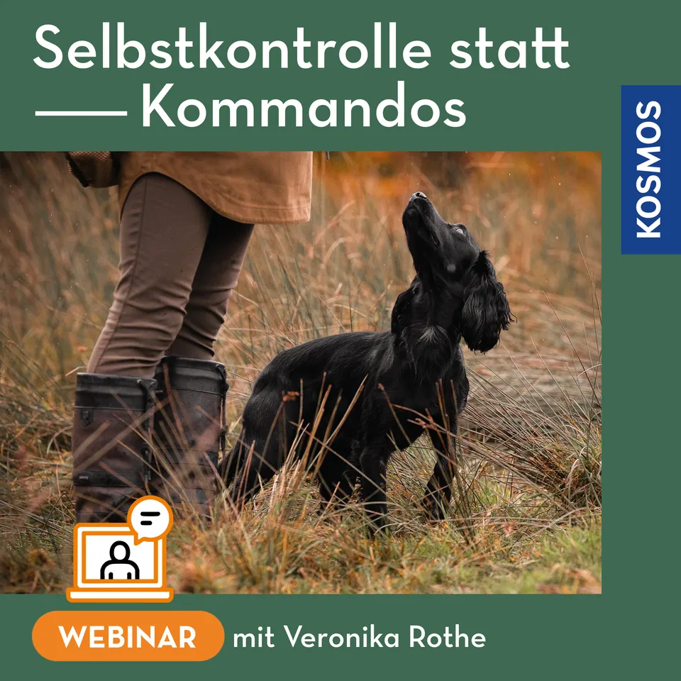 kosmos-digital-selbstkontrolle-statt-kommandos-webinar-hund image 1