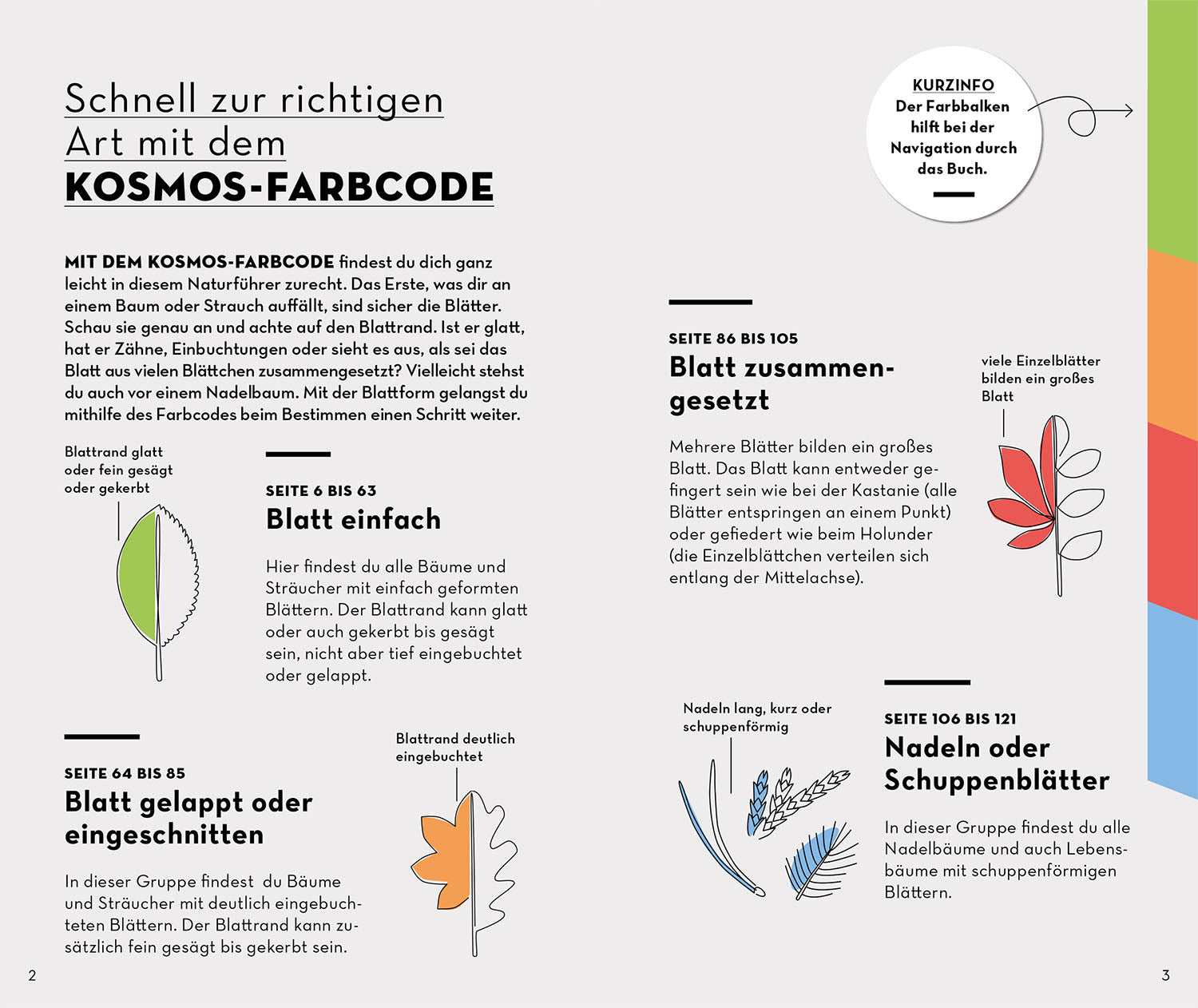 kosmos-basic-b-ume-buch-naturf-hrer-109-b-ume image 3