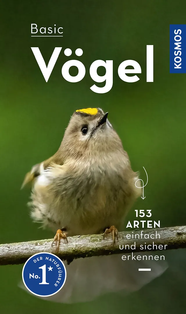 basic-v-gel-153-arten-naturf-hrer-ebook-vogelbuch image 1