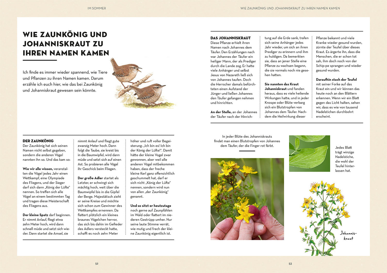 kosmos-waldgl-ck-buch-mitmach-ratgeber-familie-natur-outdoor image 5