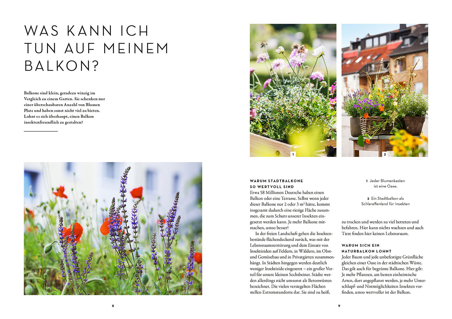 kosmos-dein-balkon-summt-ratgeber-insekten-balkon-diy image 3