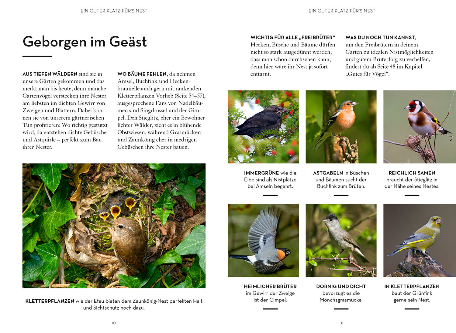 die-zauberkicker-mach-was-f-r-v-gel-buch-nistk-sten-garten image 3
