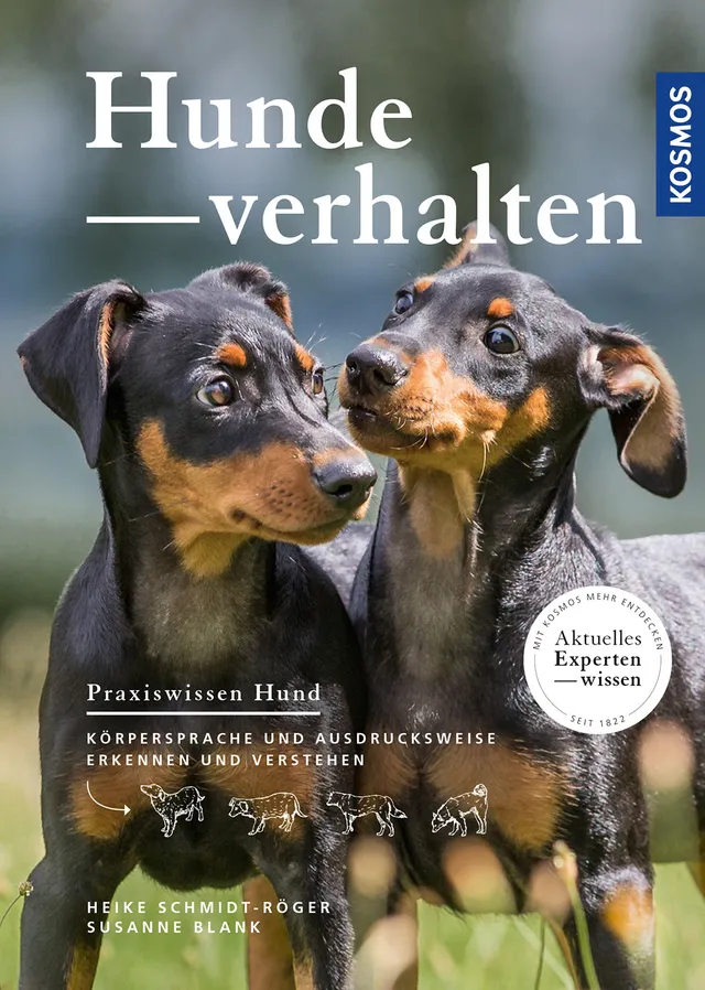 kosmos-hundeverhalten-e-book-k-rpersprache-verstehen image 1
